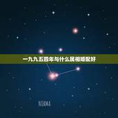 一九九五四年与什么属相婚配好，一九九三年属狗的与一九九五年属猪属相婚配