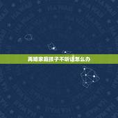再婚家庭孩子不听话怎么办，我是二婚找了个二婚，他有个儿子说实话我不太喜