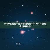 1986年属虎一生的命运怎么样 1986年属虎命运好不好