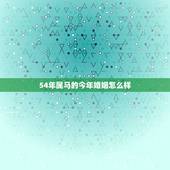 54年属马的今年婚姻怎么样，54年属马男性晚年命运