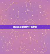 属马和属老鼠的好婚配吗，属马的男生和属鼠的女生婚配好吗？