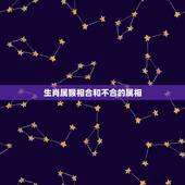 生肖属猴相合和不合的属相，属鸡的和什么属相相冲？