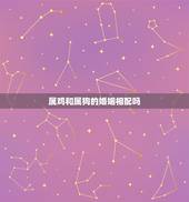 属鸡和属狗的婚姻相配吗，男属狗不能娶属鸡的吗