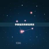 孕期强烈预感是男孩，生男生女，自己怀孕的预感准吗