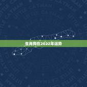 生肖狗在2022年运势，2022生肖狗的运势大全