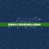 属龙的女人属羊男孩属什么属相好，请问各位高师 男属龙 女属羊 生什麽属