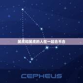 属虎和属虎的人在一起合不合，请问，属虎的人和属虎的人在一起有什么不好。