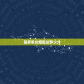 鼠男羊女婚配达多少分，男鼠女羊婚配好吗？