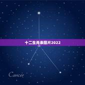 十二生肖表图片2022，十二生肖属相表