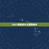 2021属鼠和什么属相相冲，2021年属鼠人的全年运势1984出生