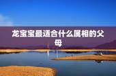 龙宝宝最适合什么属相的父母，父母都是属龙，应该要个什么生肖的孩子最好