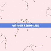 吃斋和尚敲木鱼配什么属相，吃斋和尚敲木鱼，春兰秋菊财好施能猜什么生肖