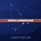 属蛇的和什么属相最配最合适呢，属蛇和什么属相最配