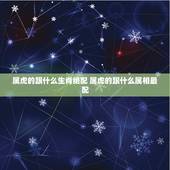 属虎的跟什么生肖绝配 属虎的跟什么属相最配