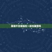 属相不合勉强在一起也痛苦吗，两人属相不合就不可以在一起结婚的吗？我想统