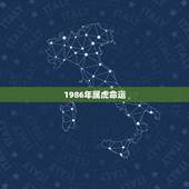 1986年属虎命运，1986年属虎的人婚配