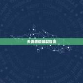 夫妻感情破裂自测，夫妻感情破裂的标准