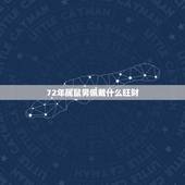 72年属鼠男佩戴什么旺财，属鼠佩戴什么饰品更好