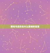 猴和马适合生什么属相的宝宝，属马和属狗生什么属相的孩子