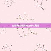 坐辰向戌兼巽乾合什么属相，辰山戌向兼巽乾风水