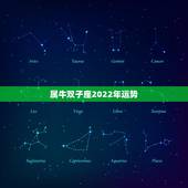 属牛双子座2022年运势，一九七三属牛双子座运气