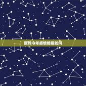 属鸡今年感情婚姻如何，2022 属鸡人的婚姻