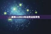 属猴人2022年运势运程男性，属猴人2022 年每月运势及运程