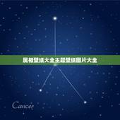 属相壁纸大全主题壁纸图片大全，vivo手机壁纸图片大全