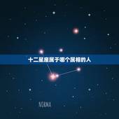十二星座属于哪个属相的人，属羊的人属于十二星座的哪个星座