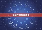 属兔的今日运势查询，想看看63年属兔人今天的财运？