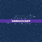 给姐姐的生日红包数字，明天是我姐的生日，她二十了，不能陪在她身边。我准