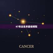 67年出生羊最佳婚配，67年属羊人与68年属猴人婚配吗？