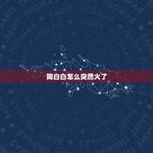 陶白白怎么突然火了，陶白白什么梗