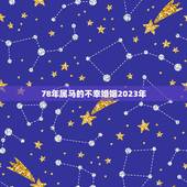 78年属马的不幸婚姻2023年，1978年属马人的婚姻 今年的婚姻好难