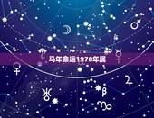 马年命运1978年属，78年十一月属马的命运好不好