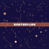 属虎最不宜配什么属相，属虎男更爱哪个生肖女