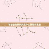 羊爸爸和猴妈妈生什么属相的宝宝，猴子爸爸和狗妈妈生啥属相的宝宝好