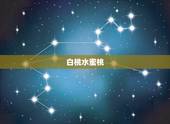 白桃水蜜桃，黄桃罐头和白桃罐头的区别
