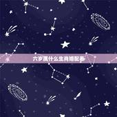 六岁属什么生肖婚配表，6岁属什么生肖