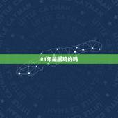 81年是属鸡的吗，1994年是属什么的