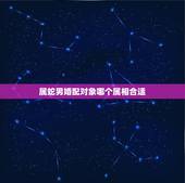 属蛇男婚配对象哪个属相合适，男属蛇最佳配偶是属什么的？
