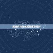 属猪的和什么属相生意特好，属猪的人做生意和什么属相最配