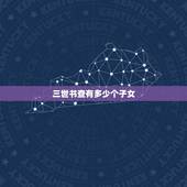 三世书查有多少个子女，三世书看子女表怎么查