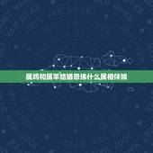 属鸡和属羊结婚忌讳什么属相伴娘，男的属羊女的属鸡要找什么属相的伴娘