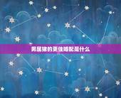男属猪的更佳婚配是什么，属兔女的更佳婚配属相