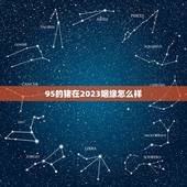 95的猪在2023姻缘怎么样 属猪的婚姻怎么样