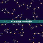 95年生肖猪2022年运势，2022年属猪人的全年运势