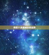 农历11月属猪女的运势，11月份属猪的财运如何
