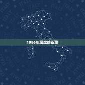 1986年属虎的正缘，1986年属虎女人命好吗