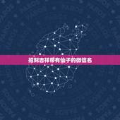 招财吉祥带有仙子的微信名，最吉利旺财的微信名有什么？